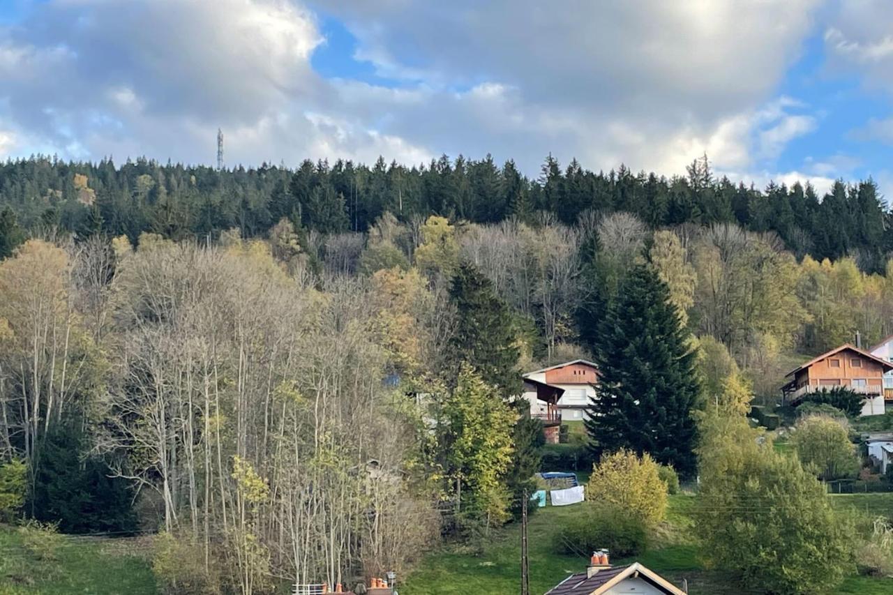 Bright Nest With Mountain View In Gérardmer Exteriör bild